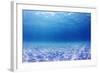 Underwater Background in the Sea-Rich Carey-Framed Photographic Print