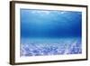 Underwater Background in the Sea-Rich Carey-Framed Photographic Print