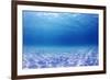 Underwater Background in the Sea-Rich Carey-Framed Photographic Print