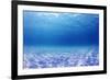 Underwater Background in the Sea-Rich Carey-Framed Photographic Print