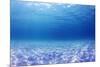 Underwater Background in the Sea-Rich Carey-Mounted Photographic Print