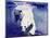 Underwater Bear, 1999-Mark Adlington-Mounted Giclee Print