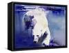 Underwater Bear, 1999-Mark Adlington-Framed Stretched Canvas