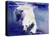Underwater Bear, 1999-Mark Adlington-Stretched Canvas