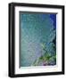 Underwater, Bonaire, Netherlands Antilles-Connie Bransilver-Framed Photographic Print