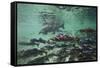 Underwater Brown Bear, Katmai National Park, Alaska-Paul Souders-Framed Stretched Canvas