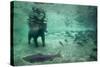 Underwater Brown Bear, Katmai National Park, Alaska-Paul Souders-Stretched Canvas