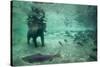 Underwater Brown Bear, Katmai National Park, Alaska-Paul Souders-Stretched Canvas