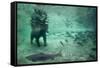 Underwater Brown Bear, Katmai National Park, Alaska-Paul Souders-Framed Stretched Canvas