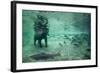 Underwater Brown Bear, Katmai National Park, Alaska-Paul Souders-Framed Photographic Print