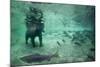 Underwater Brown Bear, Katmai National Park, Alaska-Paul Souders-Mounted Photographic Print