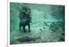 Underwater Brown Bear, Katmai National Park, Alaska-Paul Souders-Framed Photographic Print