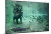 Underwater Brown Bear, Katmai National Park, Alaska-Paul Souders-Mounted Photographic Print