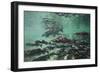 Underwater Brown Bear, Katmai National Park, Alaska-Paul Souders-Framed Photographic Print