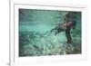 Underwater Brown Bear, Katmai National Park, Alaska-null-Framed Photographic Print