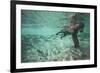 Underwater Brown Bear, Katmai National Park, Alaska-null-Framed Photographic Print