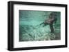 Underwater Brown Bear, Katmai National Park, Alaska-null-Framed Photographic Print