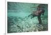 Underwater Brown Bear, Katmai National Park, Alaska-null-Framed Photographic Print