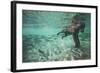 Underwater Brown Bear, Katmai National Park, Alaska-null-Framed Photographic Print