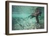 Underwater Brown Bear, Katmai National Park, Alaska-null-Framed Photographic Print