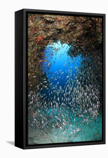 Underwater Cave and Glassfish-Bernard Radvaner-Framed Stretched Canvas