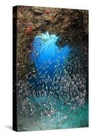 Underwater Cave and Glassfish-Bernard Radvaner-Stretched Canvas