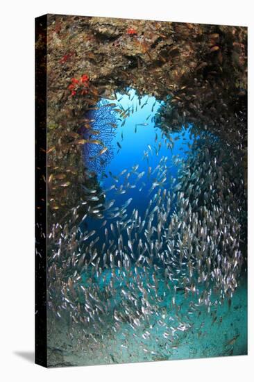 Underwater Cave and Glassfish-Bernard Radvaner-Stretched Canvas