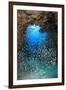 Underwater Cave and Glassfish-Bernard Radvaner-Framed Premium Photographic Print