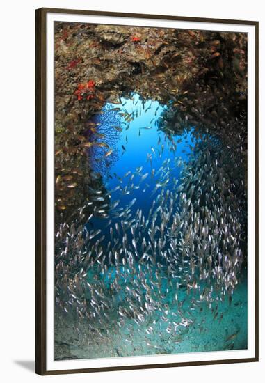 Underwater Cave and Glassfish-Bernard Radvaner-Framed Premium Photographic Print