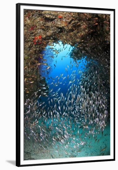 Underwater Cave and Glassfish-Bernard Radvaner-Framed Premium Photographic Print