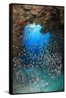 Underwater Cave and Glassfish-Bernard Radvaner-Framed Stretched Canvas