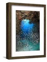 Underwater Cave and Glassfish-Bernard Radvaner-Framed Photographic Print