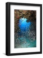 Underwater Cave and Glassfish-Bernard Radvaner-Framed Photographic Print