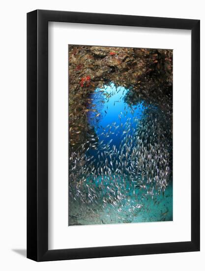 Underwater Cave and Glassfish-Bernard Radvaner-Framed Photographic Print