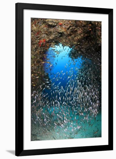 Underwater Cave and Glassfish-Bernard Radvaner-Framed Photographic Print