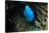 Underwater Cave and Scuba Diver-Rich Carey-Stretched Canvas