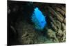 Underwater Cave and Scuba Diver-Rich Carey-Mounted Photographic Print