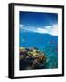 Underwater Coral Reef with Horizon and Water Waves-Jakub Gojda-Framed Photographic Print