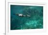 Underwater Cormorant, Sea of Cortez, Mexico-null-Framed Photographic Print