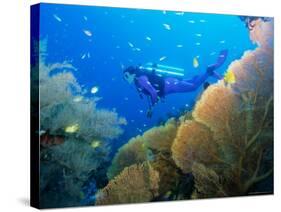 Underwater Diver Swimming Above Reef, with Orange Sea Fan, Similan Island, Thailand, Asia-Louise Murray-Stretched Canvas