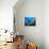 Underwater Diver Swimming Above Reef, with Orange Sea Fan, Similan Island, Thailand, Asia-Louise Murray-Photographic Print displayed on a wall