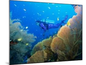 Underwater Diver Swimming Above Reef, with Orange Sea Fan, Similan Island, Thailand, Asia-Louise Murray-Mounted Photographic Print