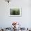 Underwater Elephant Seal, Antarctica-Paul Souders-Framed Photographic Print displayed on a wall