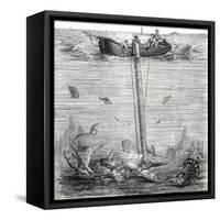 Underwater Explorer-null-Framed Stretched Canvas