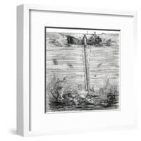 Underwater Explorer-null-Framed Art Print