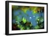 Underwater Green White Perle.-RUNA-Framed Giclee Print