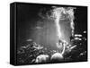 Underwater Habitat-null-Framed Stretched Canvas