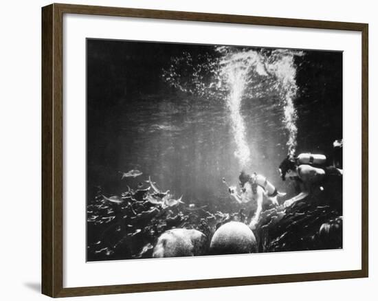 Underwater Habitat-null-Framed Photographic Print