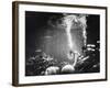 Underwater Habitat-null-Framed Photographic Print