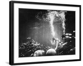 Underwater Habitat-null-Framed Photographic Print